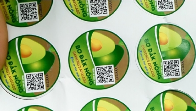 Lễ Hội “Đắk Nông- Mùa Bơ chín” năm 2018, TTKD VNPT Đắk Nông cấp miễn phí 35.000 tem truy xuất nguồn gốc trái bơ