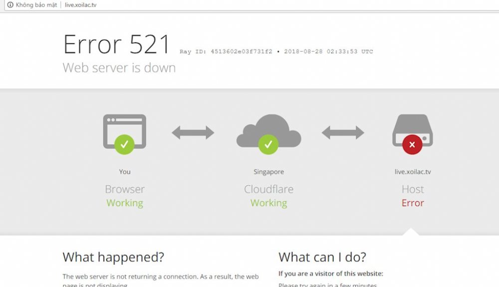 Vi phạm bản quyền ASIAD 2018: 18 trang web lậu tên miền quốc tế bị chặn truy cập