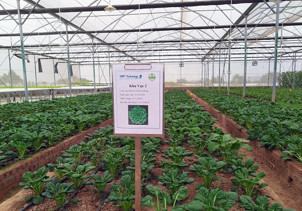 VNPT và những giải pháp hỗ trợ ngành Nông nghiệp đón đầu CMCN 4.0