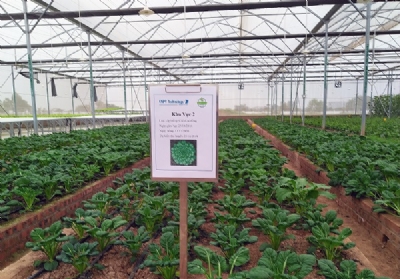 VNPT và những giải pháp hỗ trợ ngành Nông nghiệp đón đầu CMCN 4.0